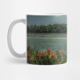 Picturesque scenic tranquil landscape of Danube river Mug